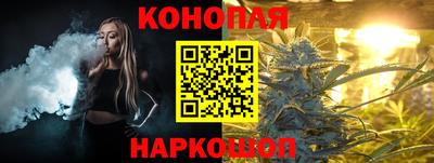 Альфа ПВП Кингисепп